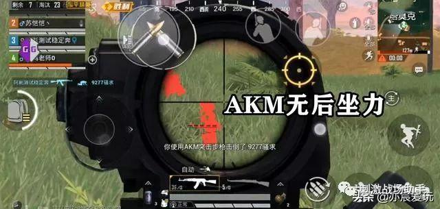 和平精英辅助得类型分为那些